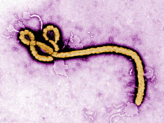 Three people tested for Ebola...
